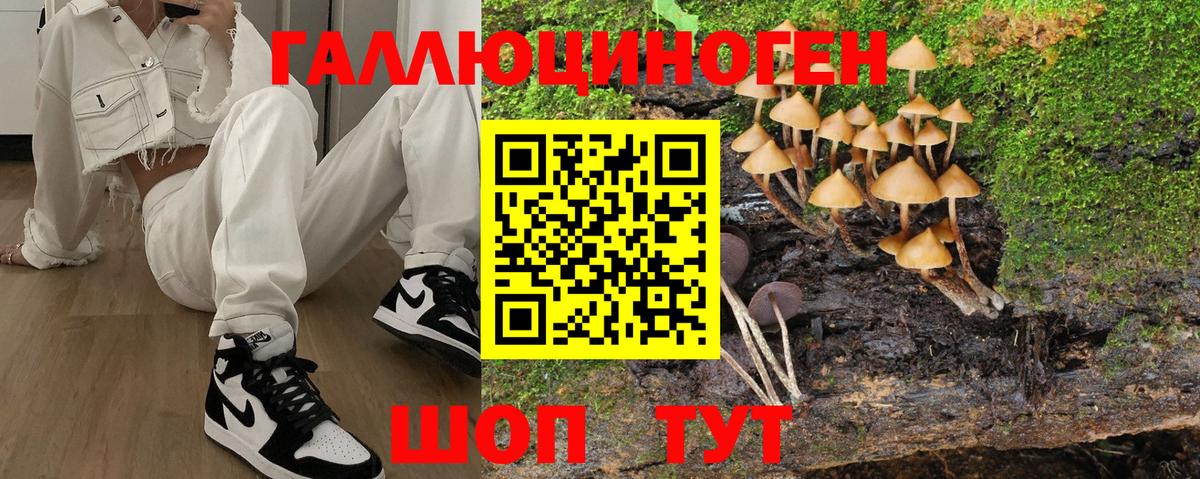 Галлюциногенные грибы мухоморы  Псилоцибиновые грибы мухоморы  Тулун  Вход с VPN 