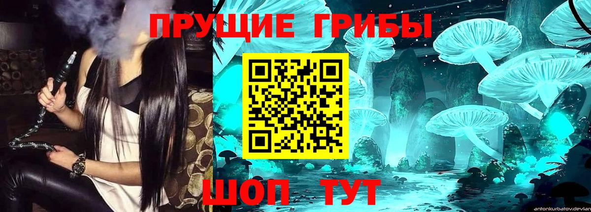 Галлюциногенные грибы Cubensis Тулун